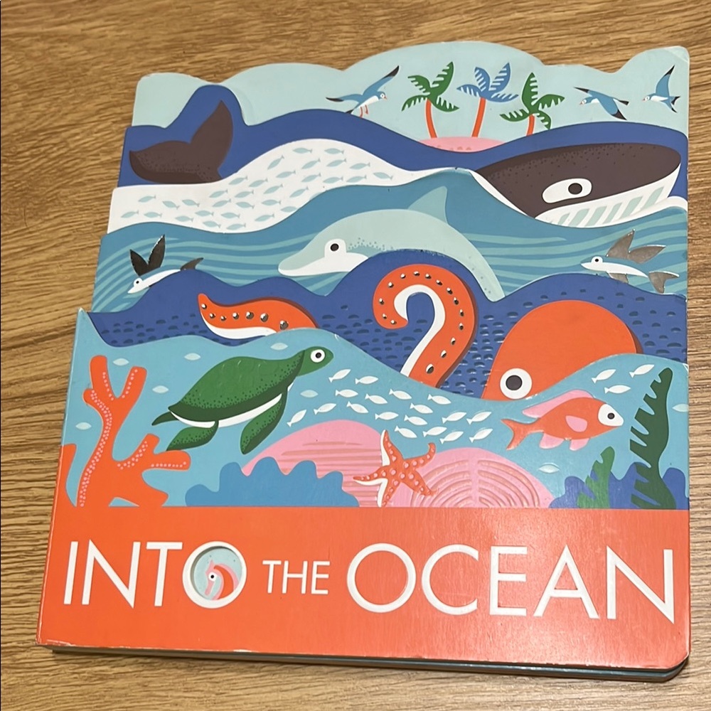 Into the Ocean Children's Book